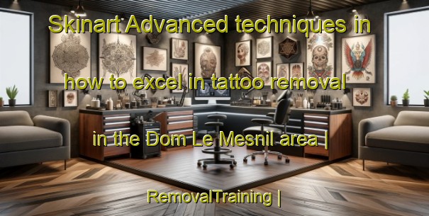 Skinart Advanced techniques in how to excel in tattoo removal in the Dom Le Mesnil area | RemovalTraining | RemovalClasses | SkinartTraining-France